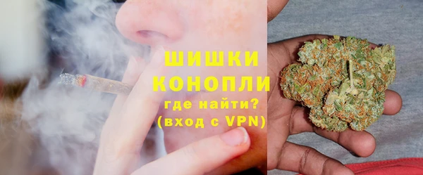 амф Аркадак