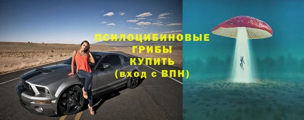 амф Аркадак