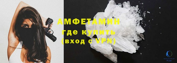 сатива Армянск