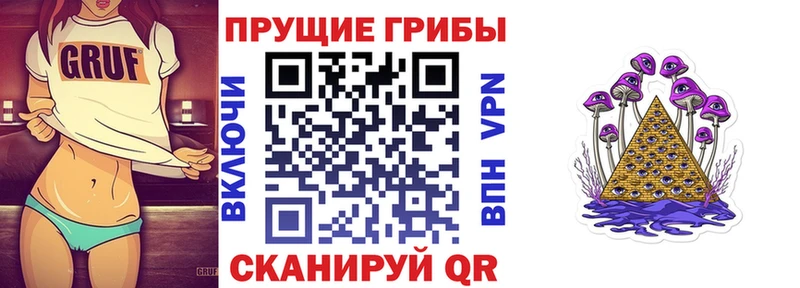 Купить закладки  Хадыженск  Псилоцибиновые грибы мухоморы 